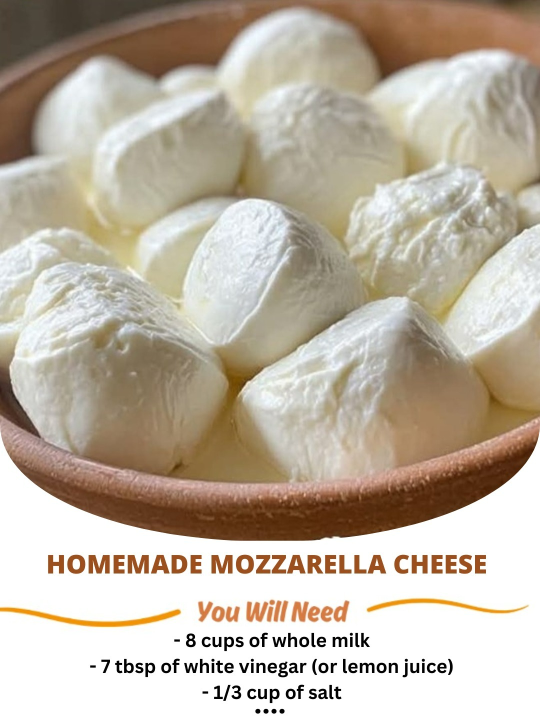  Homemade Mozzarella Cheese Recipe! 