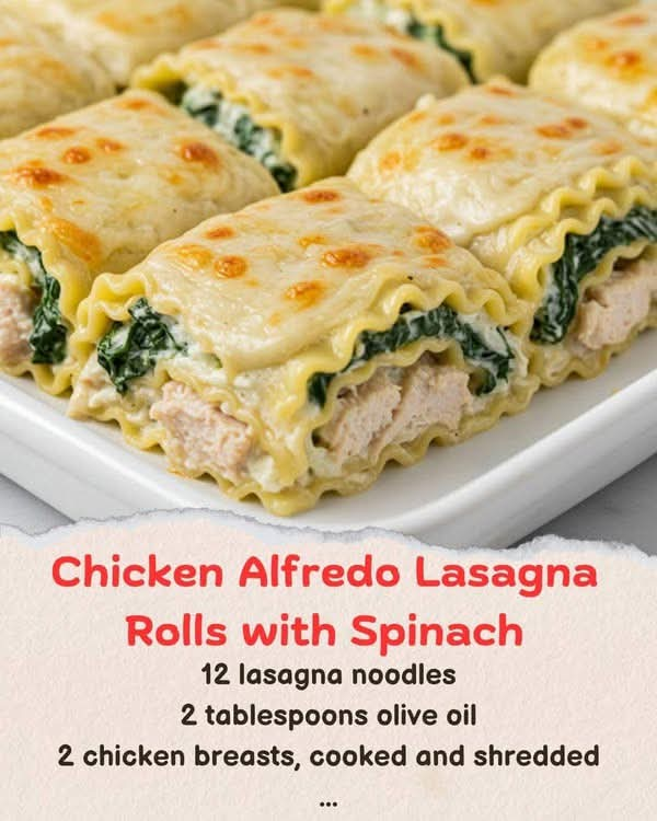 Creamy Chicken Alfredo Lasagna Rolls with Fresh Spinach