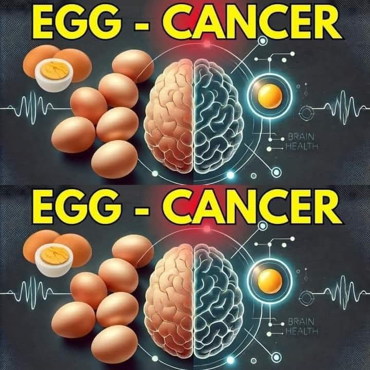 Never Eat Egg with “This” Cause Cancer and Dementia! 3 Best & Worst Food Recipe