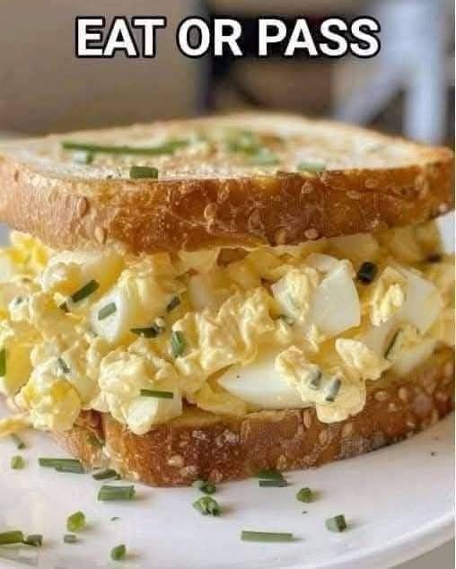 Egg Salad Sandwich 