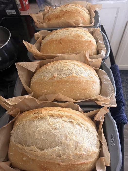 I can’t stop making sandwich bread! No kneading, no eggs, no butter! So soft and delicious, my coworkers keep asking me to whip them up! 