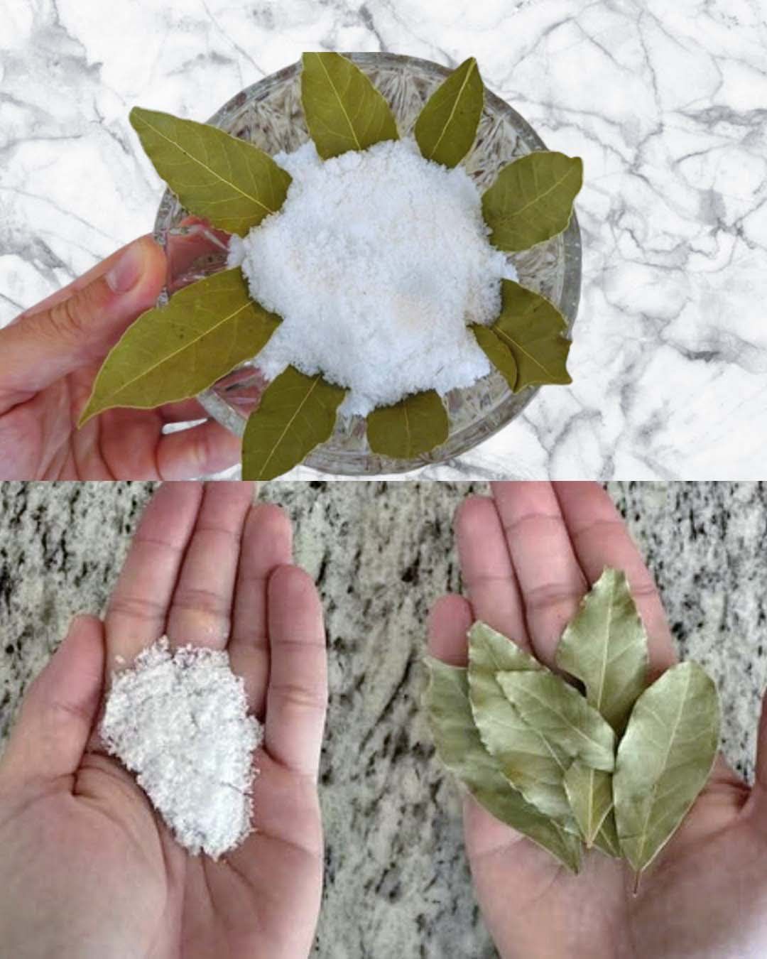 Natural Secrets for Fresh-Smelling Laundry: Bay Leaves, Salt, and Baking Soda