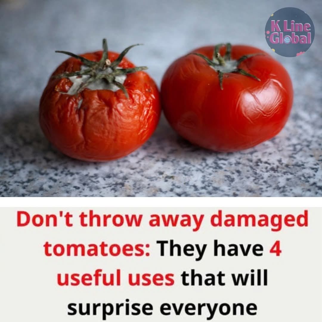 Don’t throw away spoiled tomatoes, they have more benefits than you think 
