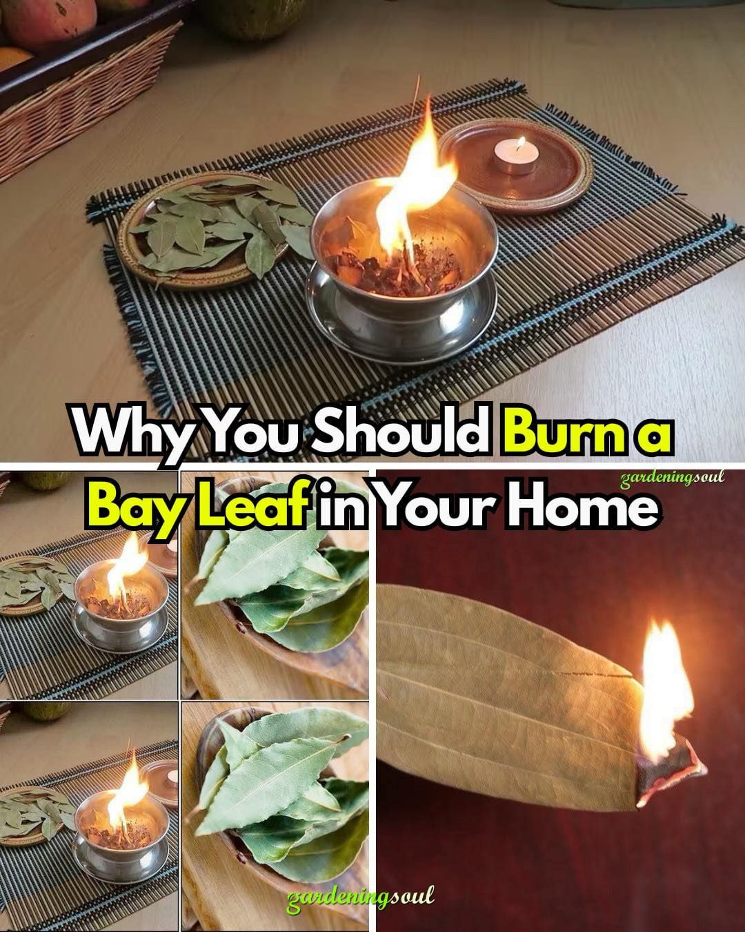 Why You Should Burn a Bay Leaf in Your Home